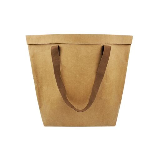 Washable Paper Carry Bag