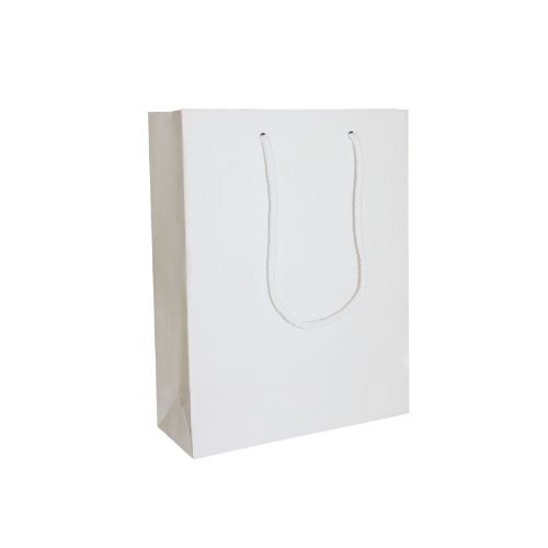 Regular Paper Luxury Bags