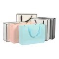 Glossy Paper Gift Bag