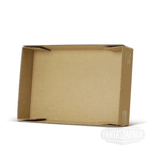 Design Style Tray (DST) kraft